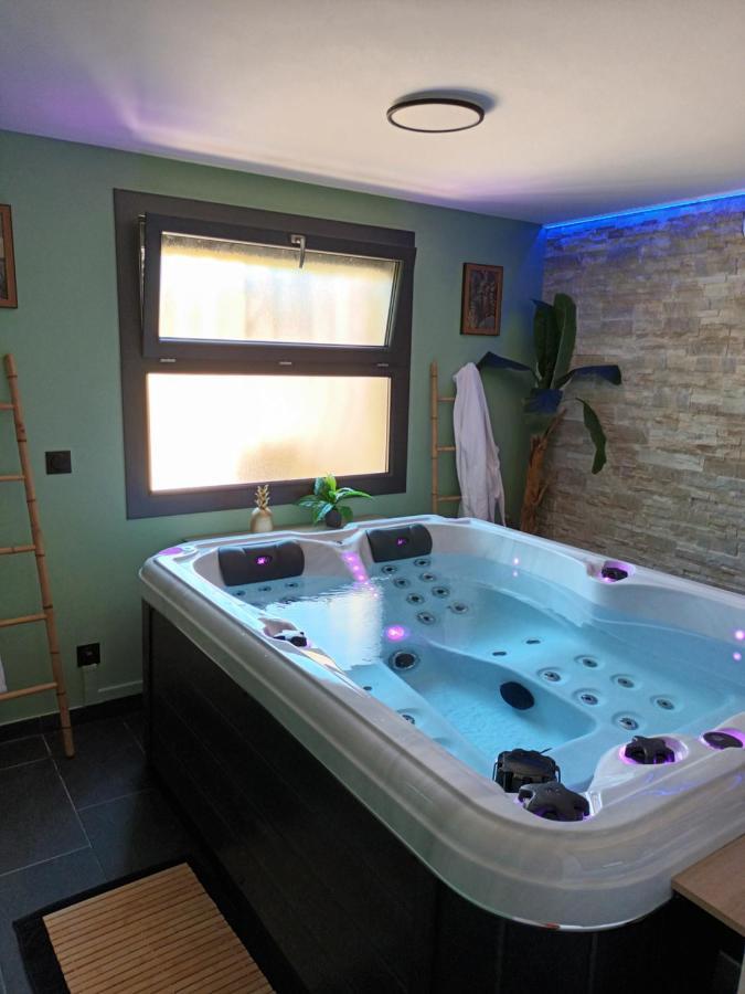 Superbe Appartement Avec Jacuzzi Et Exterieur ペルピニャン エクステリア 写真