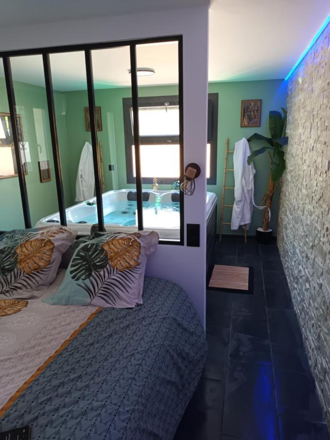 Superbe Appartement Avec Jacuzzi Et Exterieur ペルピニャン エクステリア 写真