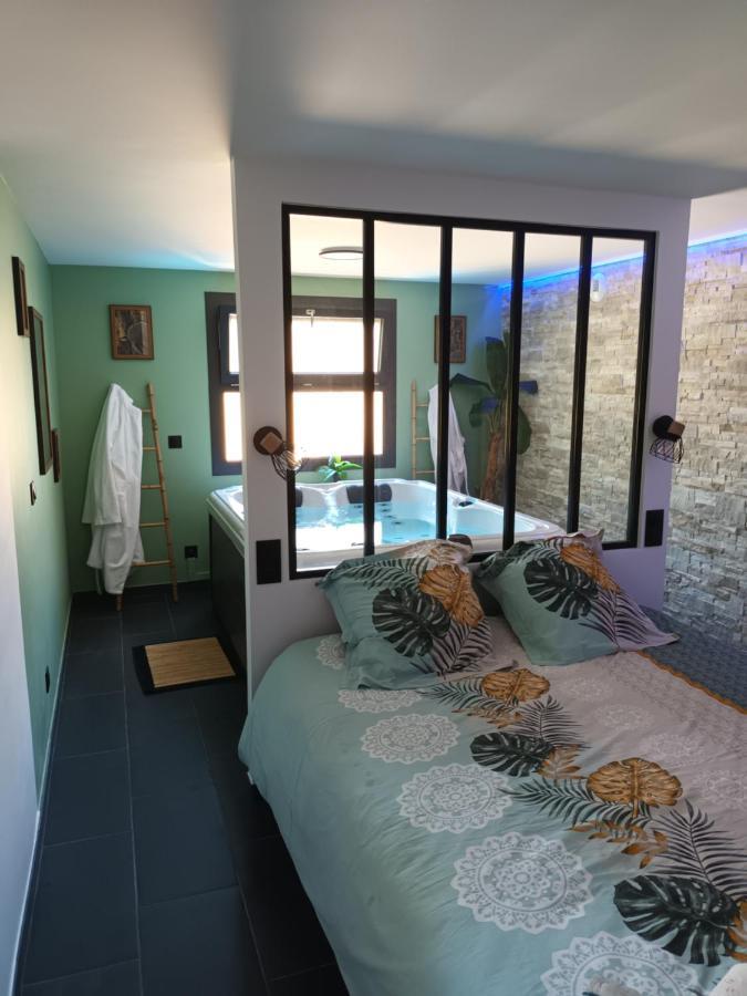 Superbe Appartement Avec Jacuzzi Et Exterieur ペルピニャン エクステリア 写真