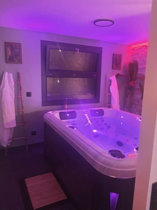 Superbe Appartement Avec Jacuzzi Et Exterieur ペルピニャン エクステリア 写真