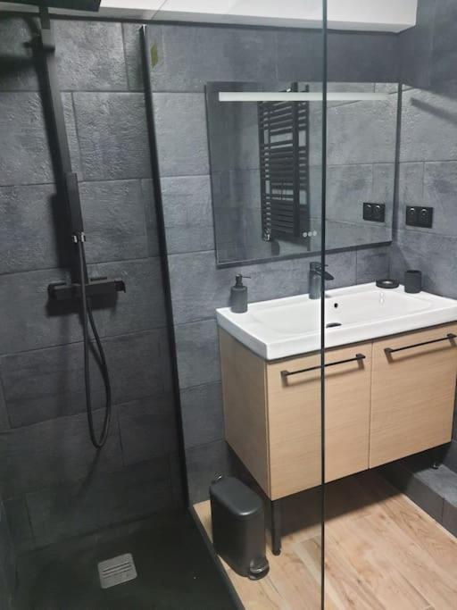 Superbe Appartement Avec Jacuzzi Et Exterieur ペルピニャン エクステリア 写真