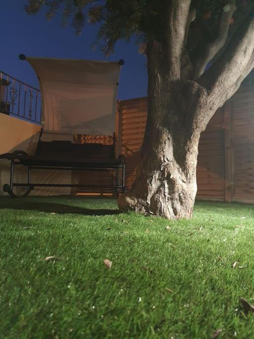 Superbe Appartement Avec Jacuzzi Et Exterieur ペルピニャン エクステリア 写真