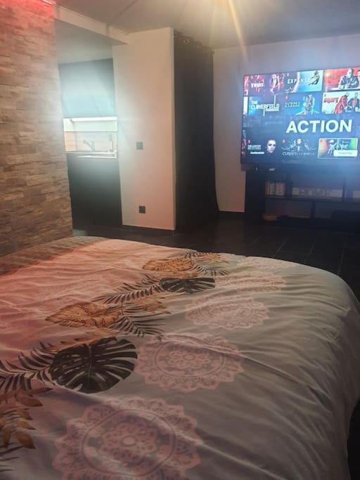 Superbe Appartement Avec Jacuzzi Et Exterieur ペルピニャン エクステリア 写真